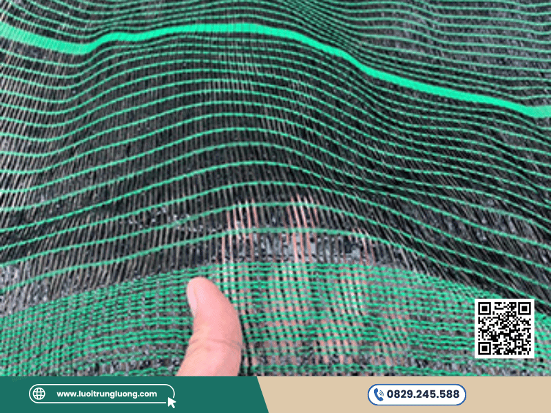 Độ che phủ lưới che nắng 60% cho cây cần nhiều ánh sáng