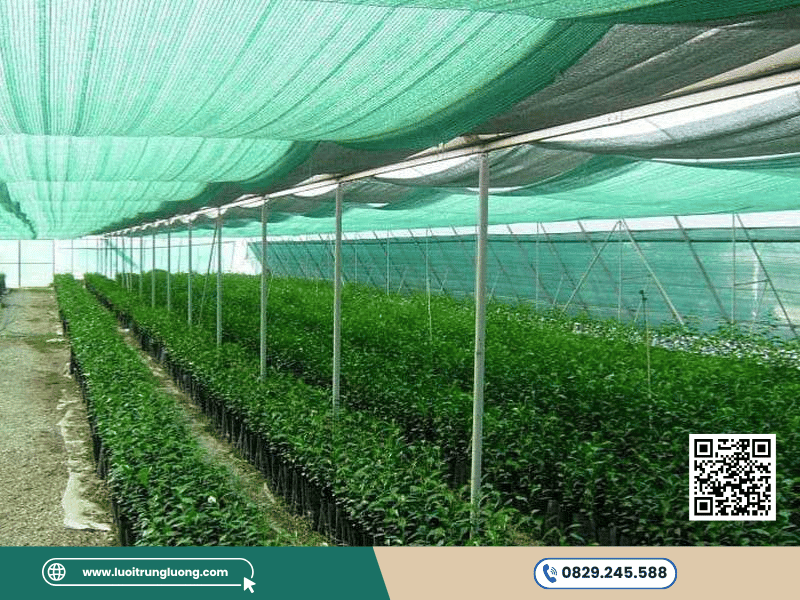 Độ che phủ lưới che nắng theo điều kiện khí hậu và vùng miền