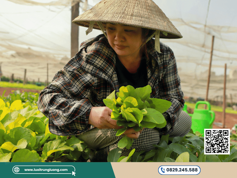 Lựa chọn mật độ lưới phù hợp theo khu vực canh tác nông nghiệp