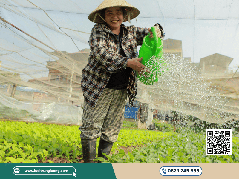 Lưới chắn côn trùng sử dụng trong nhà kính nhà màng với mật độ mesh phù hợp