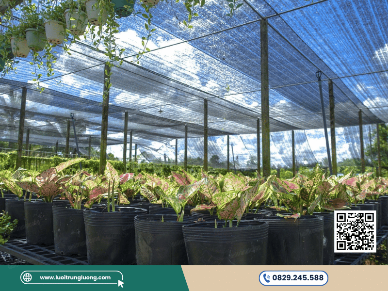 Lưới che nắng được căng trên vườn lan và nhà màng - Lưới Trung Lương Lưới che nắng được căng trên vườn lan và nhà màng