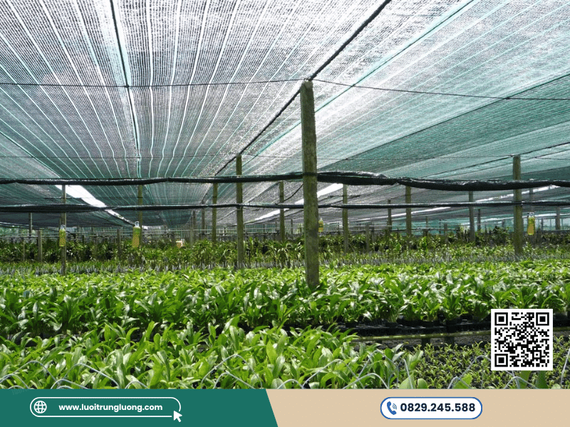 Những điều cần biết về độ che phủ lưới che nắng khi lựa chọn