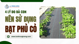 Bạt phủ cỏ có hiệu quả không: 4 lý do bà con nên dùng