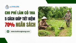 Chi phí làm cỏ 1ha: 5 cách giúp tiết kiệm 70% ngân sách