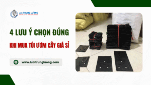 4 lưu ý khi mua túi ươm cây giá sỉ