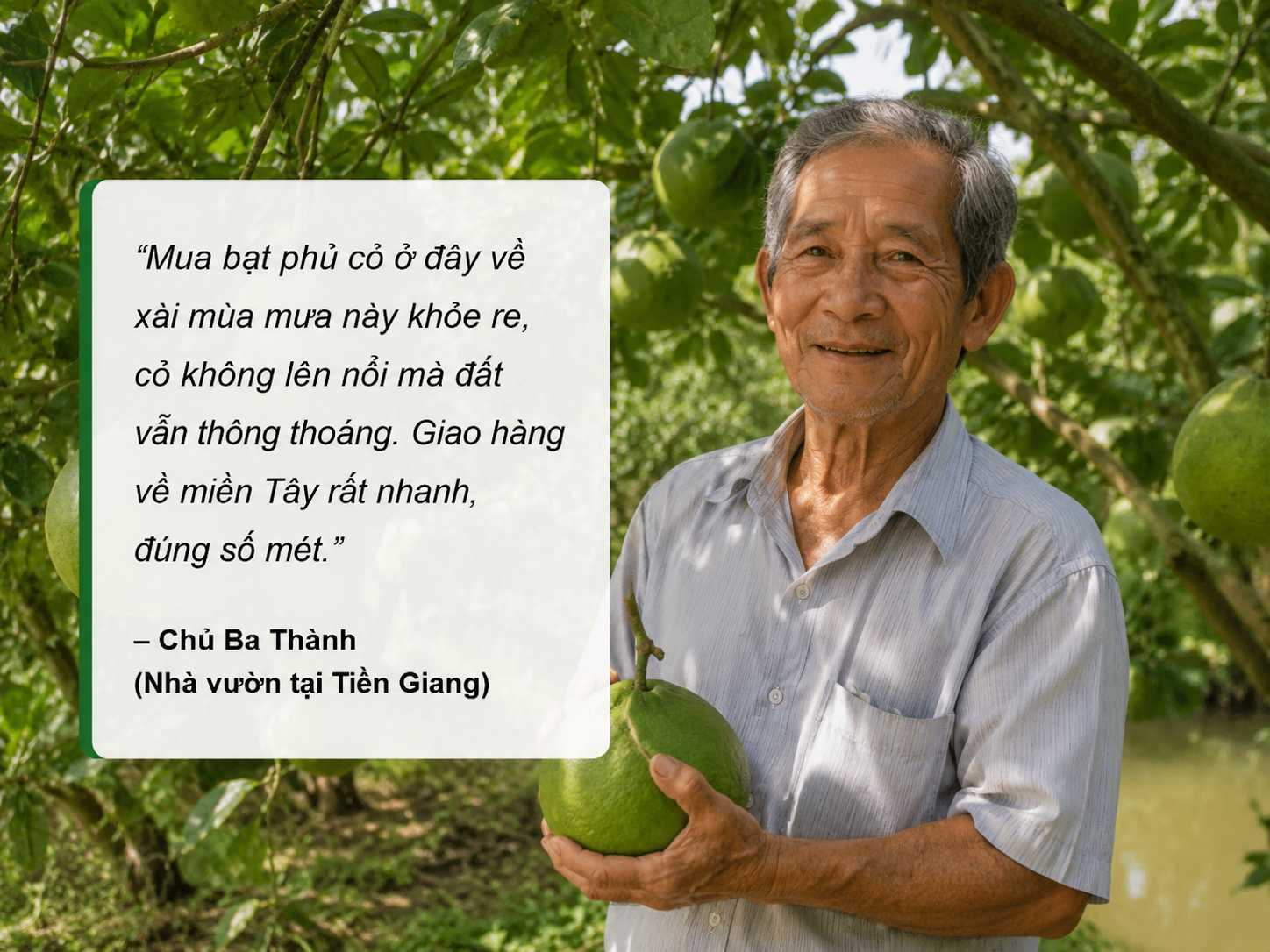 Chu Ba Thanh chu vuon o Tien Giang - Lưới Trung Lương