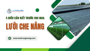 Lưới che nắng là gì 5 điều cần biết trước khi mua