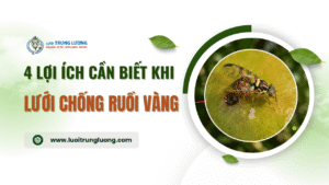 Lưới chống ruồi vàng cho vườn 4 lợi ích cần biết