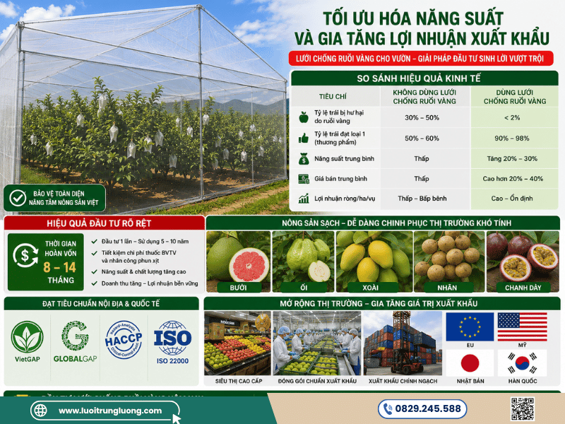 Lưới chống ruồi vàng tối ưu hóa năng suất cây ăn quả