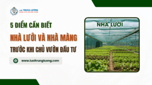 Nhà lưới và nhà màng khác nhau 5 điểm cần biết trước khi đầu tư
