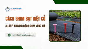 Cách ghim bạt diệt cỏ 3 lưu ý khoảng cách ghim vùng gió