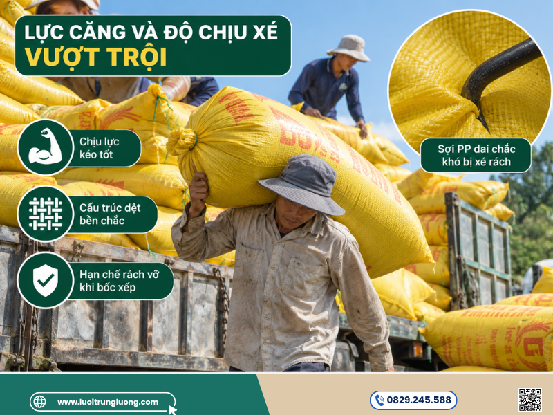 Bao PP dệt đựng lúa với lực căng và độ chịu xé vượt trội - Lưới Trung Lương Bao PP dệt đựng lúa với lực căng và độ chịu xé vượt trội