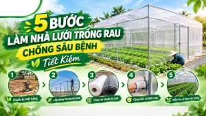 5 Bước Làm Nhà Lưới Trồng Rau Chống Sâu Bệnh Tiết Kiệm