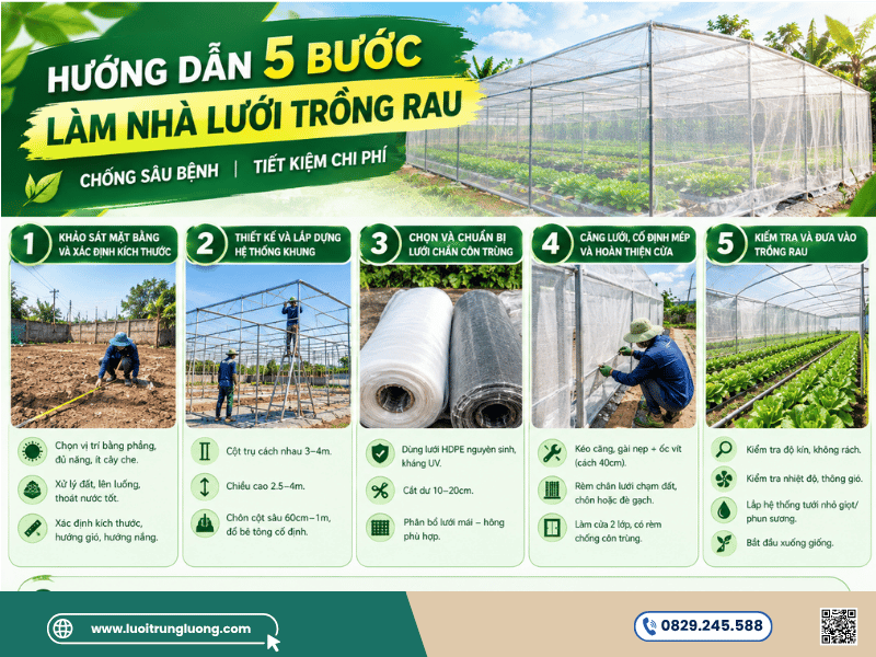 Hướng dẫn 5 bước làm nhà lưới trồng rau chống sâu bệnh - Lưới Trung Lương Hướng dẫn 5 bước làm nhà lưới trồng rau chống sâu bệnh